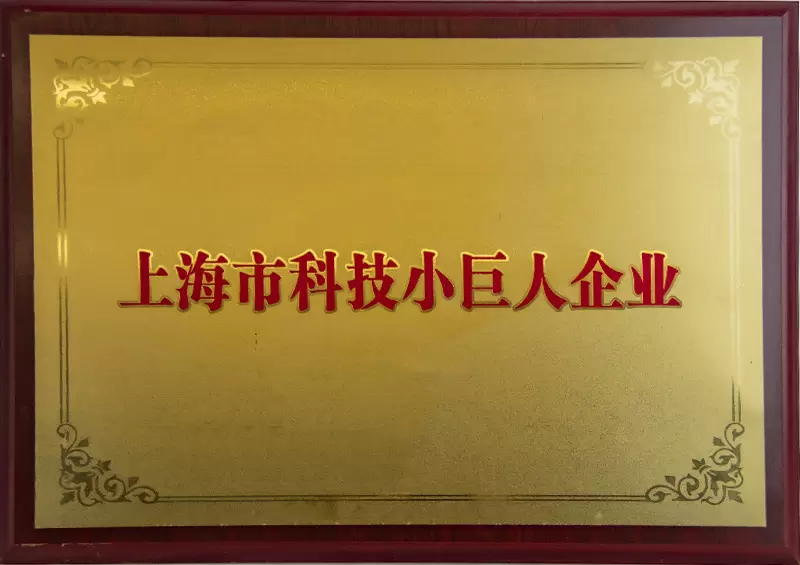 科(kē)技(jì )小(xiǎo)巨人企業